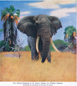 Afrikaanse olifant in zijn natuurlijke omgeving door Wilhelm Kuhnert